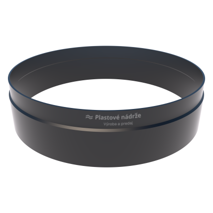 Predĺženie revízneho vstupu